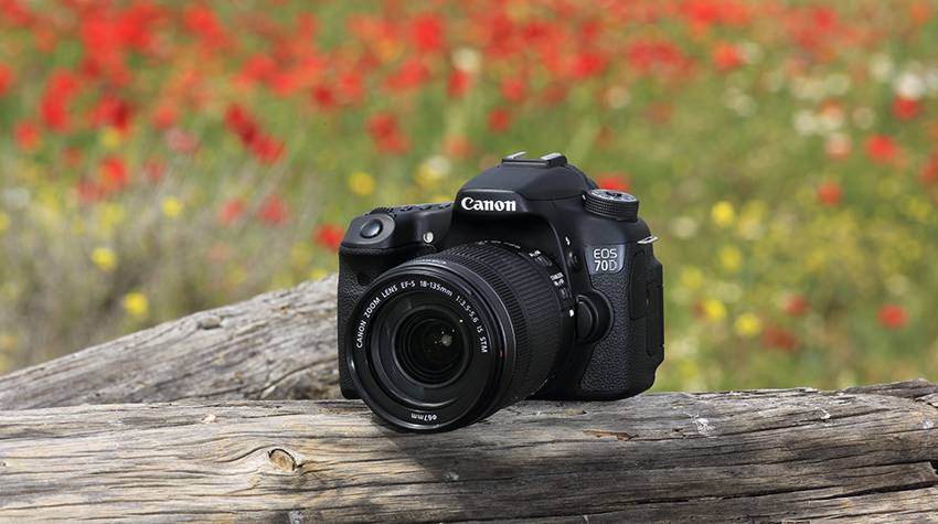 Лучшие фотоаппараты Canon для начинающих