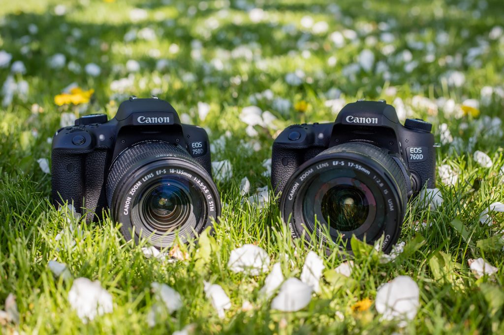 Лучшие профессиональные зеркальные фотоаппараты Canon