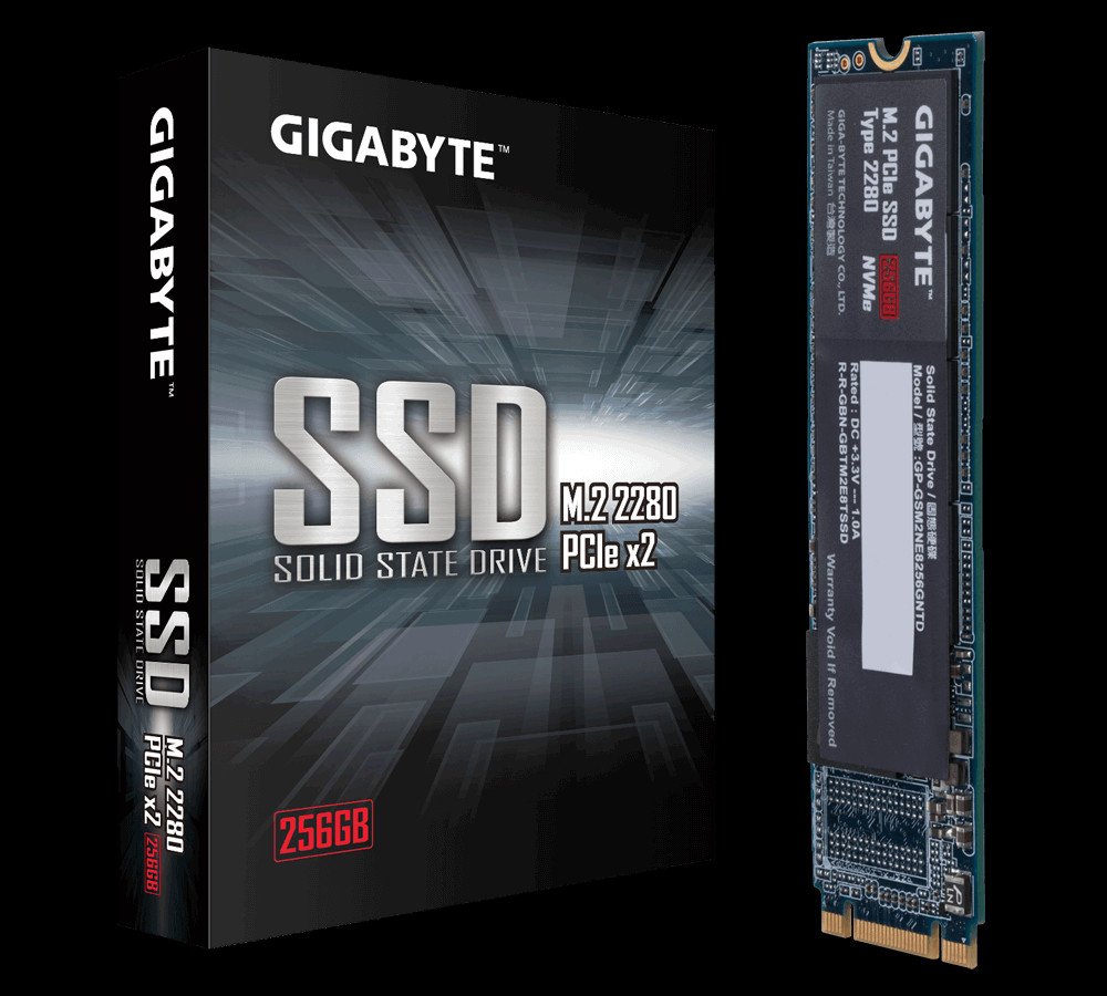 GIGABYTE M.2 PCIe SSD 256GB (GP-GSM2NE8256GNTD)