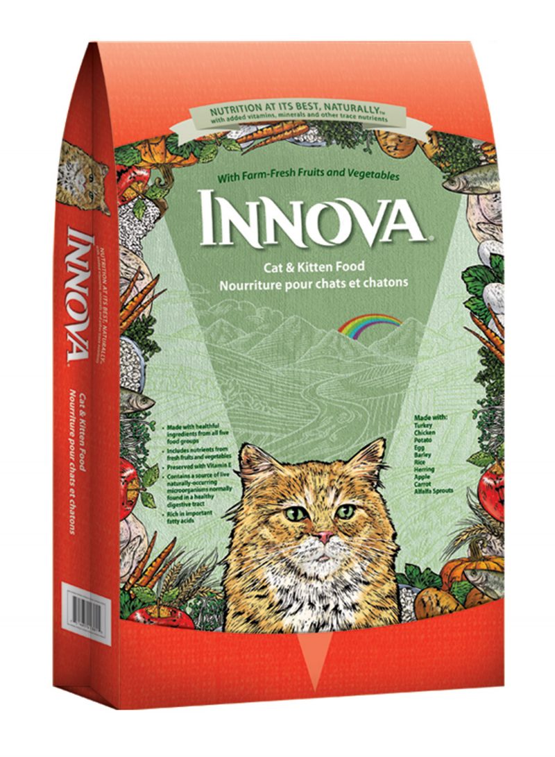 Innova Cat and Kitten e1560179916359