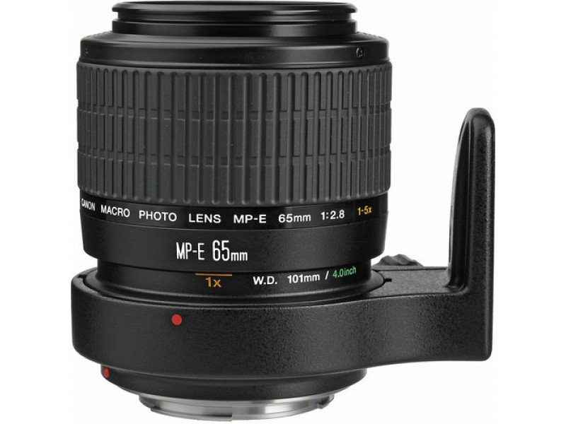 Canon MP E 65mm f 2.8 1 5x Macro Photo