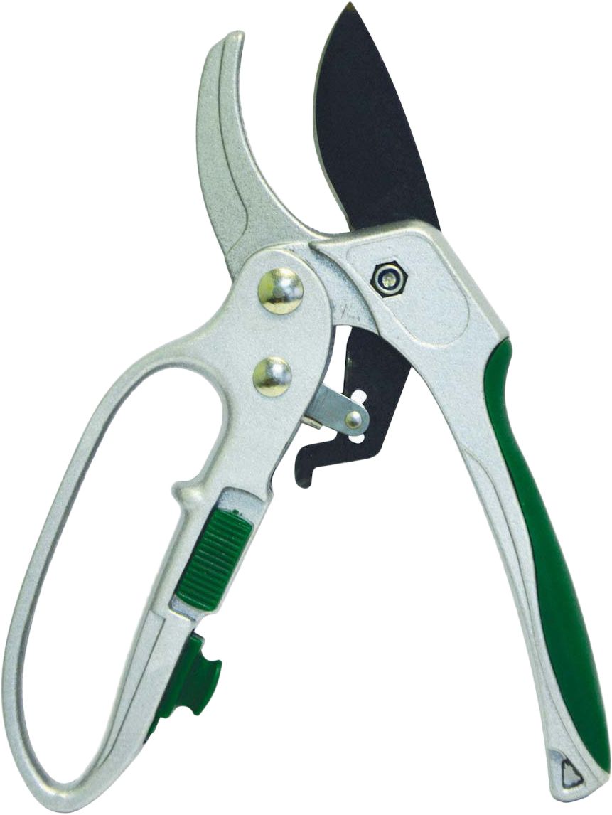 Green Belt 06-180
